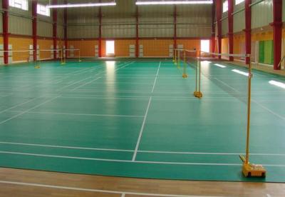 羽毛球，乒乓球用pvc地板